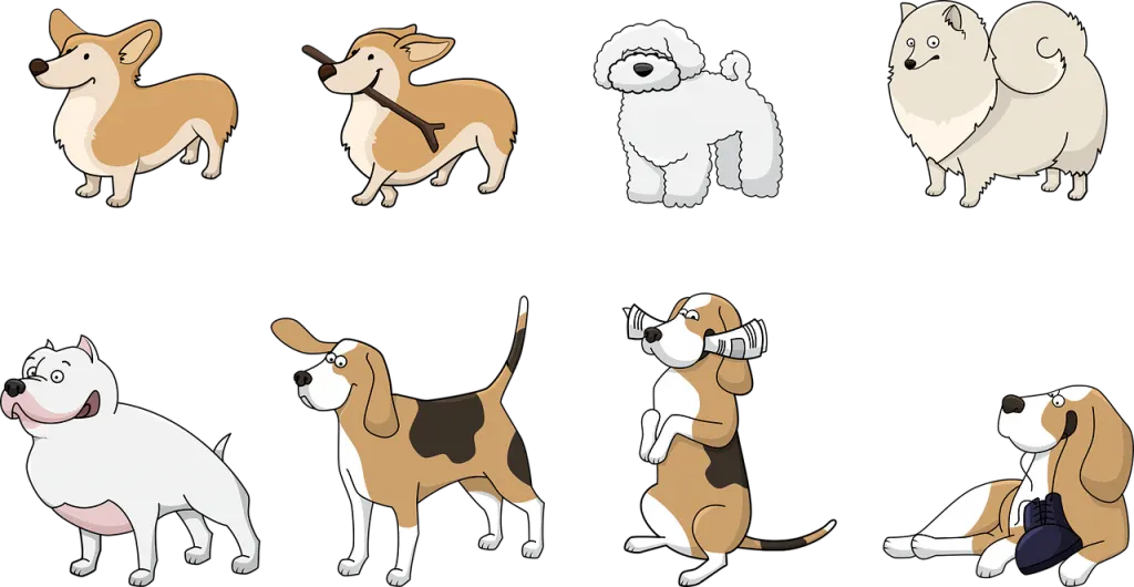 ▶ Achat laisse pour chien de dressage pas cher | Avis et Conseil