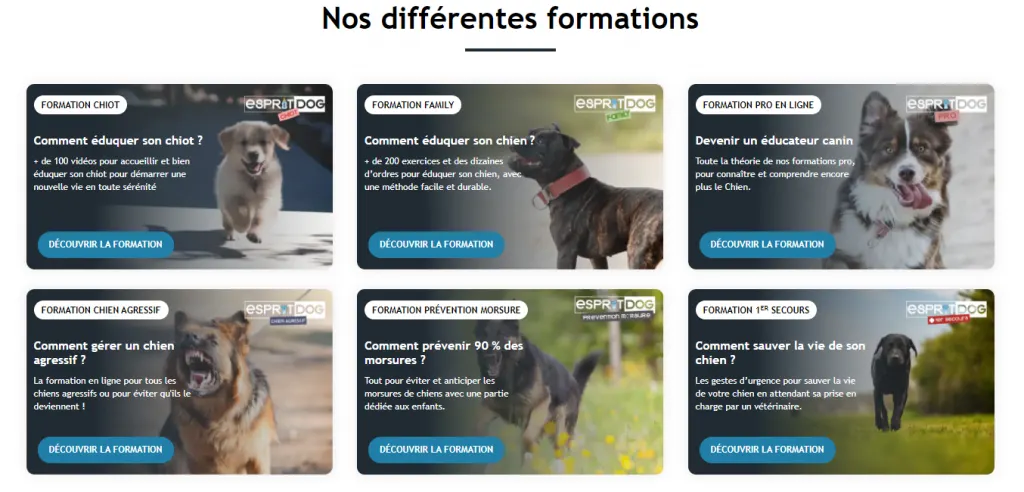 formations esprit dog avis