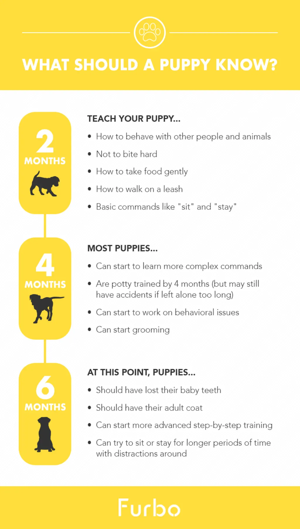 Comment apprendre à son chien à obéir ?