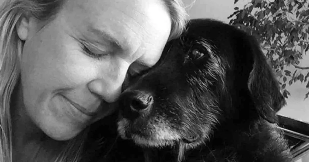 Comment calmer l'agressivité d'un chien ?