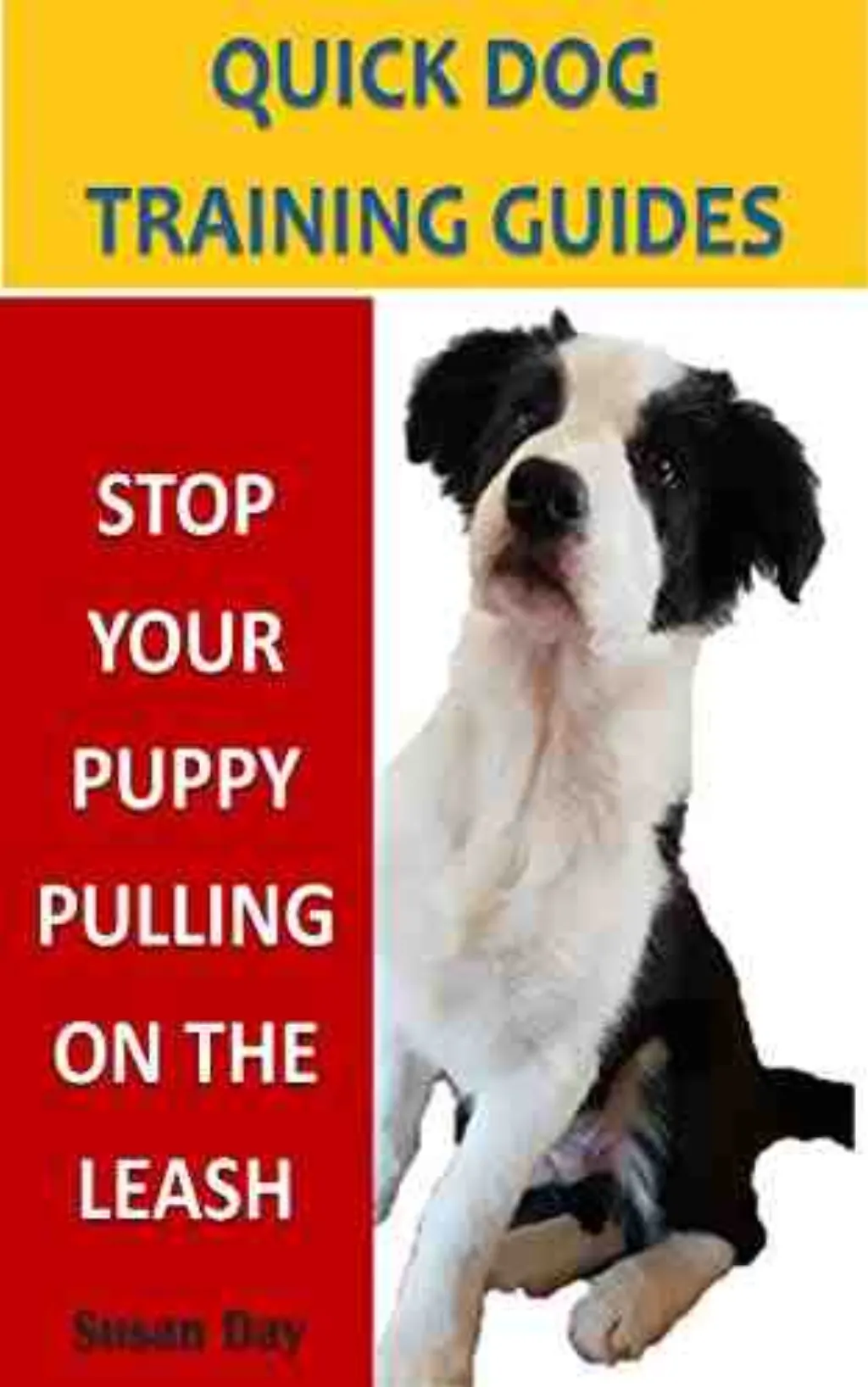 Comment canaliser un jeune chien hyperactif ?