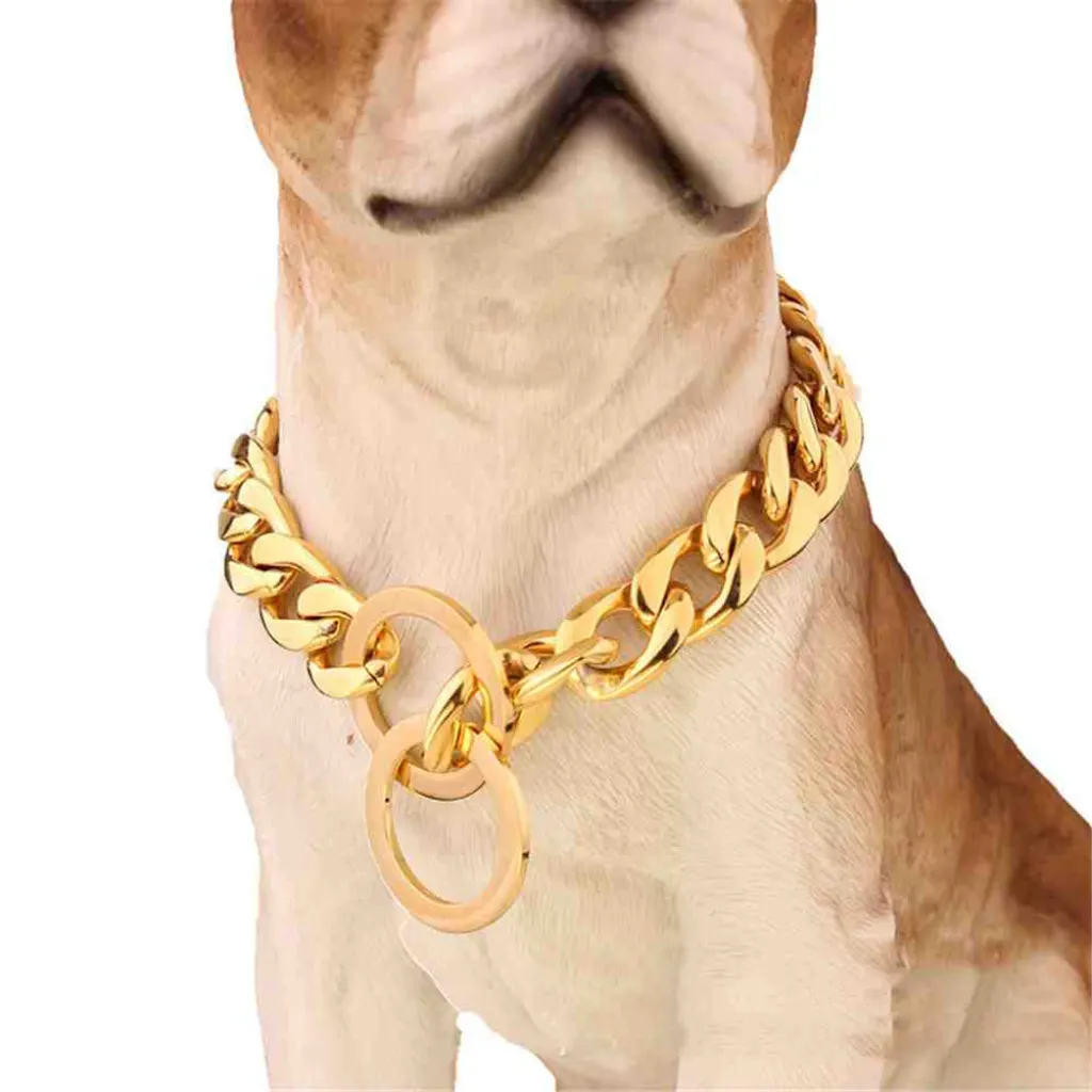 Quel âge pour un collier de dressage ?