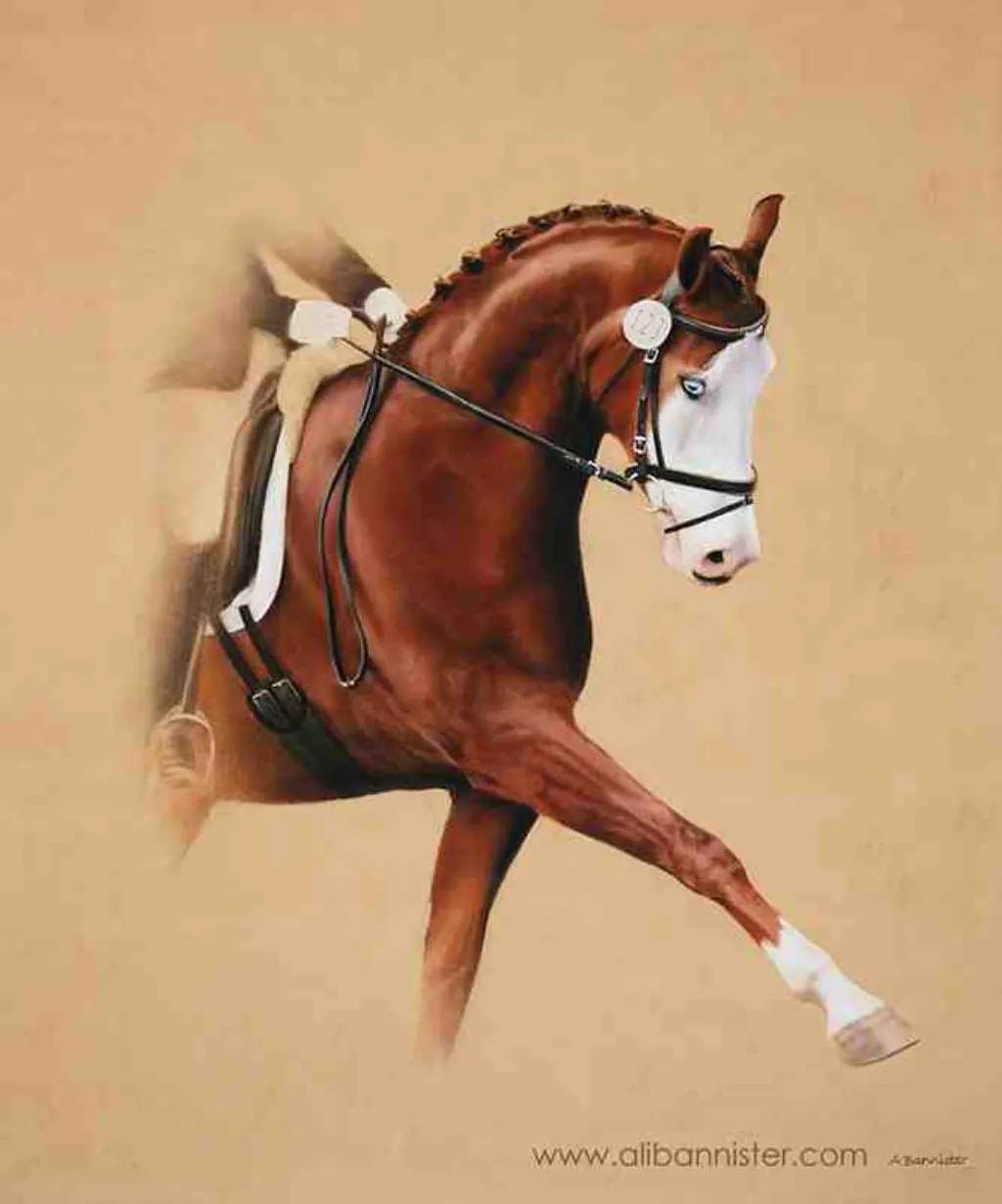 Quel âge pour un collier de dressage ? [year]