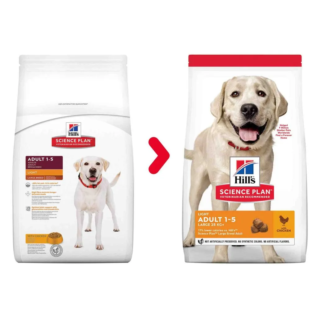 Quel est le meilleur fromage pour un chien ?