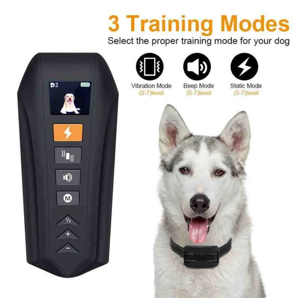 Quel type de collier pour chien arrête de tirer ?