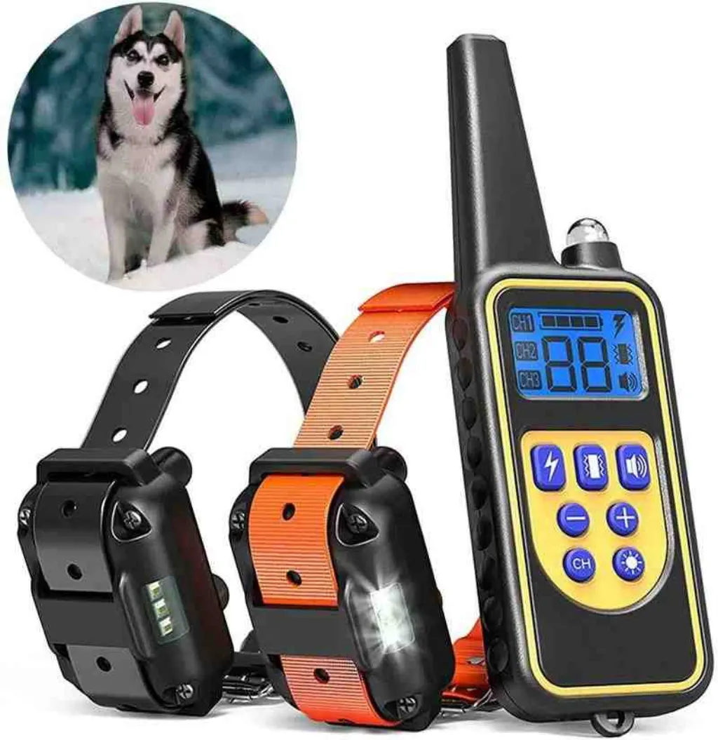 Quelle est l'odeur que les chiens détestent ?