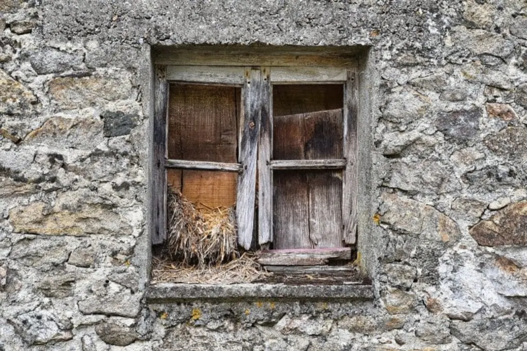 découvrez les implications émotionnelles et psychologiques de l'abandon. apprenez à surmonter le sentiment de perte et à reconstruire confiance et résilience, que ce soit dans les relations personnelles ou professionnelles.