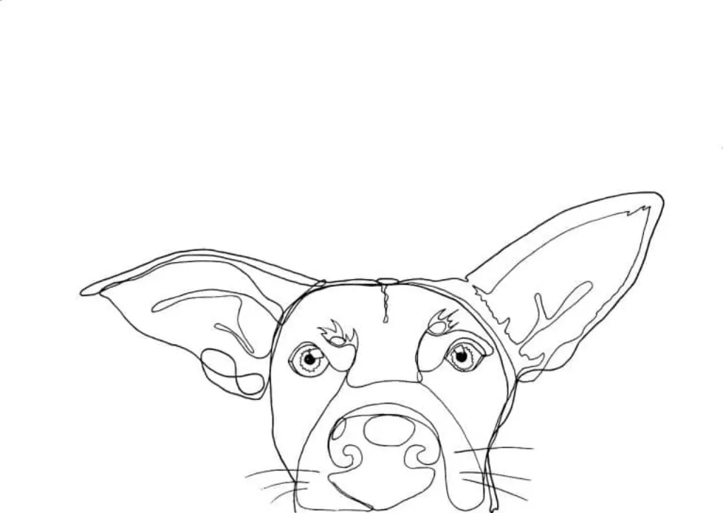 découvrez tout sur les chiens : conseils d'éducation, soins, nutrition et comportements. que vous soyez propriétaire ou passionné, plongez dans l'univers canin et apprenez à mieux comprendre votre fidèle compagnon.