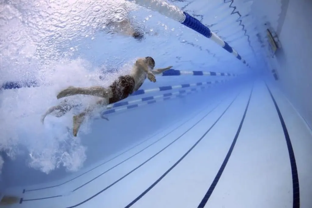 découvrez des compétitions passionnantes dans divers domaines, que ce soit dans le sport, les arts ou d'autres disciplines. participez ou assistez à des événements qui mettent en avant le talent et l'esprit de compétition !