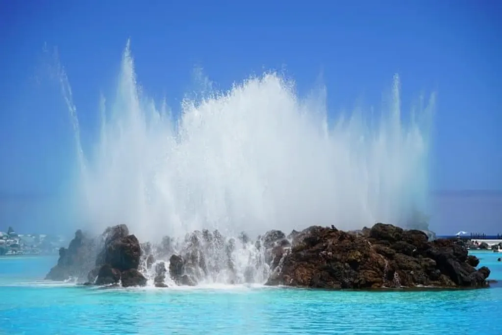 découvrez le paradis aquatique pour votre compagnon à quatre pattes avec notre sélection de piscines spécialement conçues pour les chiens. offrez à votre fidèle ami des moments rafraîchissants et ludiques tout en veillant à sa sécurité. parfait pour l'été!