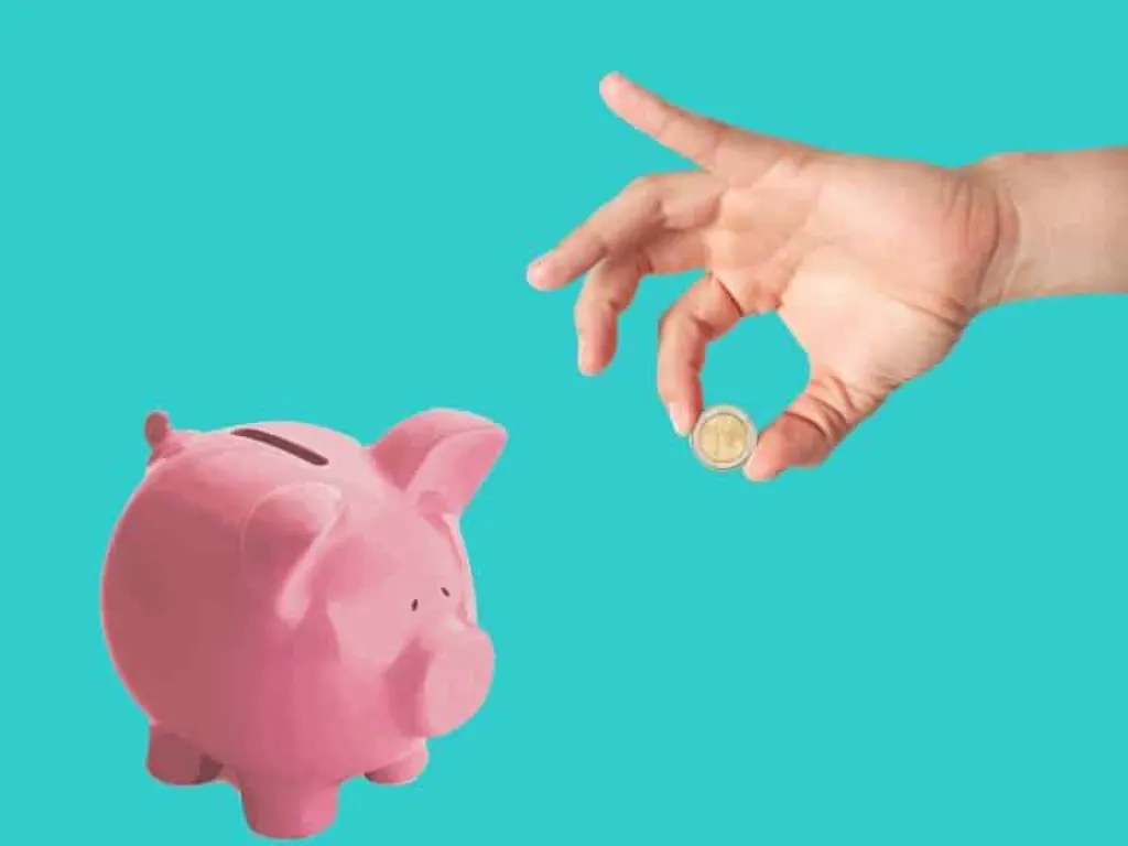 découvrez comment gérer efficacement votre budget pour la nourriture de votre animal de compagnie. des conseils pratiques et des astuces pour choisir des aliments de qualité sans vous ruiner.