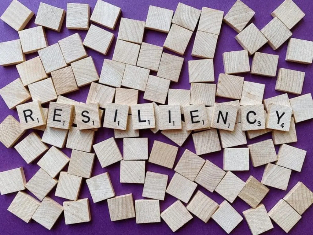 découvrez le concept de résilience : comment développer votre capacité à surmonter les défis et à rebondir après les épreuves. explorez des strategies pratiques pour renforcer votre bien-être émotionnel et mental.