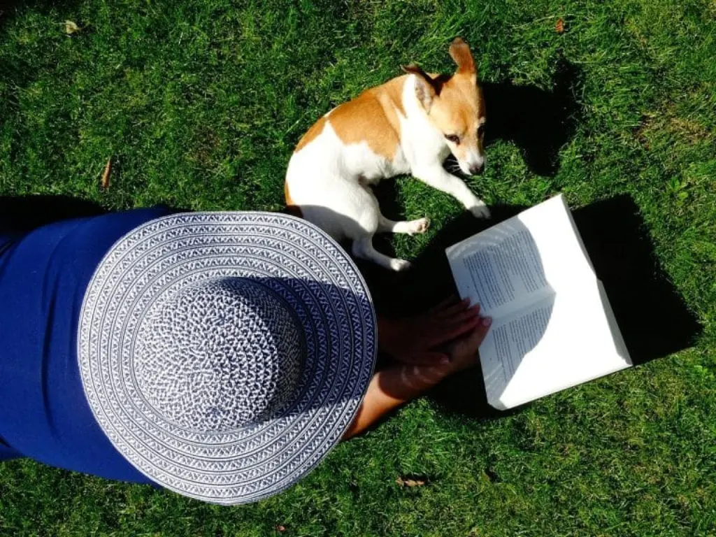 découvrez tout sur le jack russell, une race de chien pleine d'énergie et d'intelligence. apprenez ses caractéristiques, son tempérament, ses besoins en exercice et conseils pour son éducation. le compagnon idéal pour les familles actives et les amateurs de plein air !