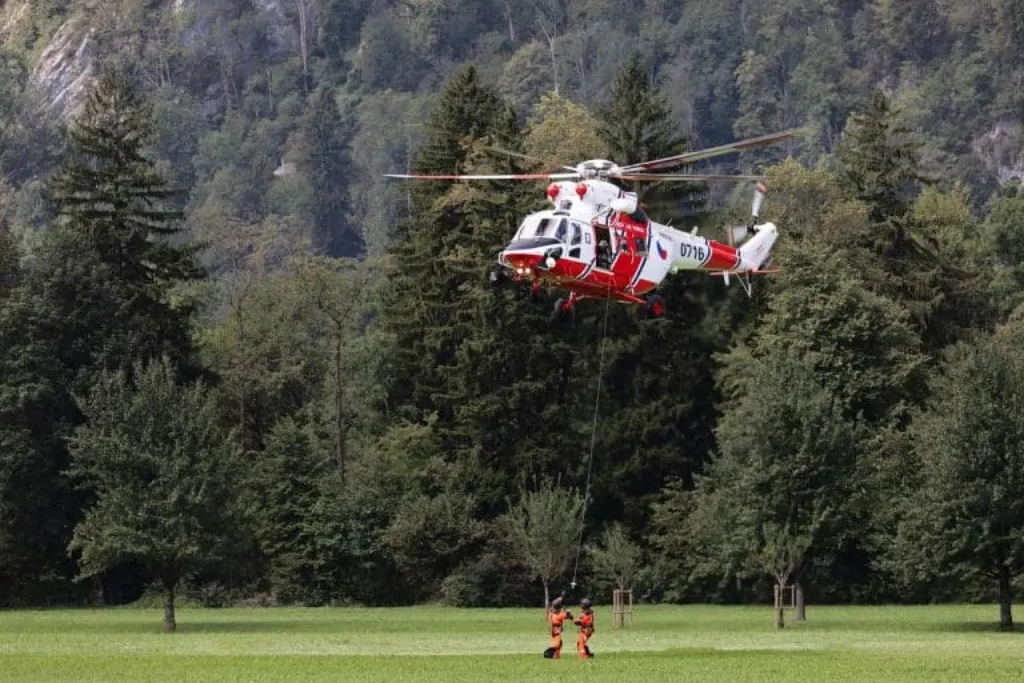 découvrez notre service de sauvetage professionnel, dédié à venir en aide dans les situations d'urgence. que ce soit pour des animaux en détresse ou des interventions d'urgence, notre équipe expérimentée est prête à agir rapidement et efficacement pour sauver des vies.
