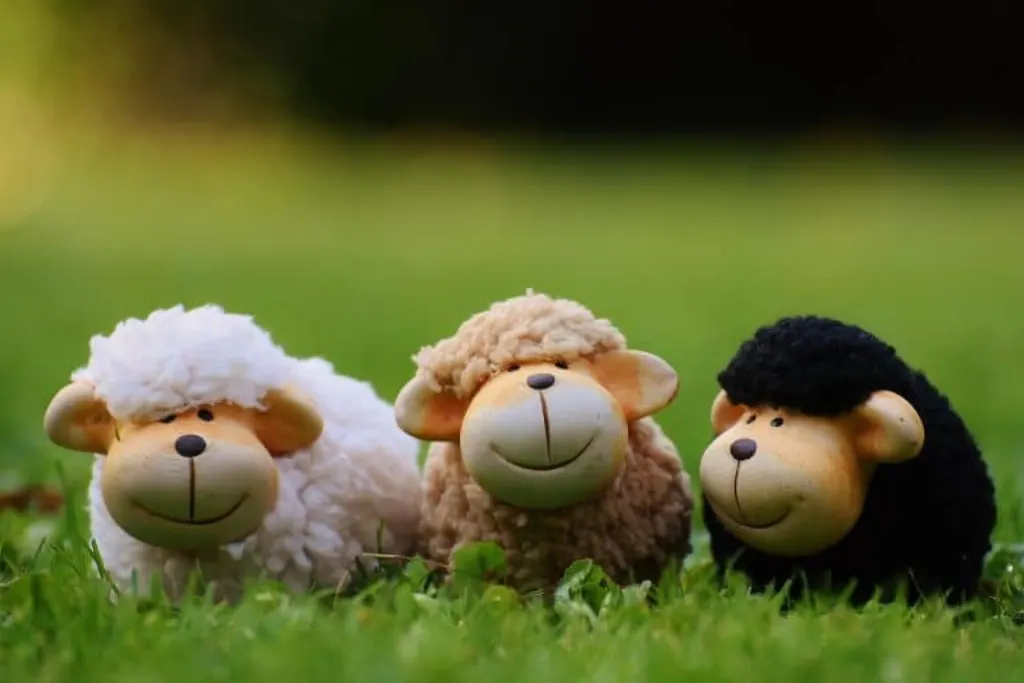 découvrez l'univers fascinant des moutons, ces animaux emblématiques de la nature, leur élevage, leur rôle dans l'écosystème et les différentes races qui existent à travers le monde.