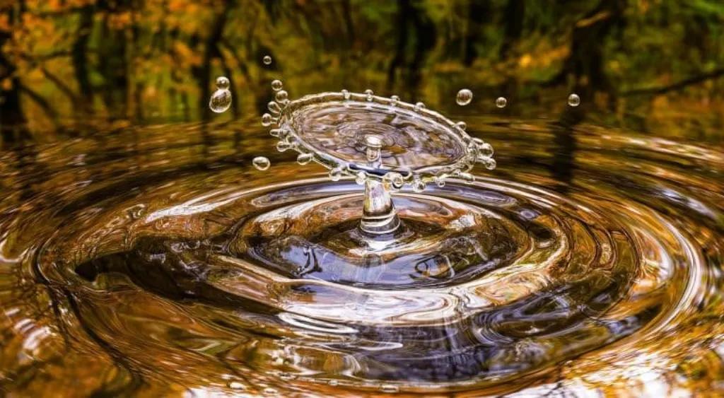 découvrez des instants inattendus qui capturent l'essence de la surprise et de l'émerveillement. plongez dans des récits fascinants et laissez-vous surprendre par les moments qui changent tout.