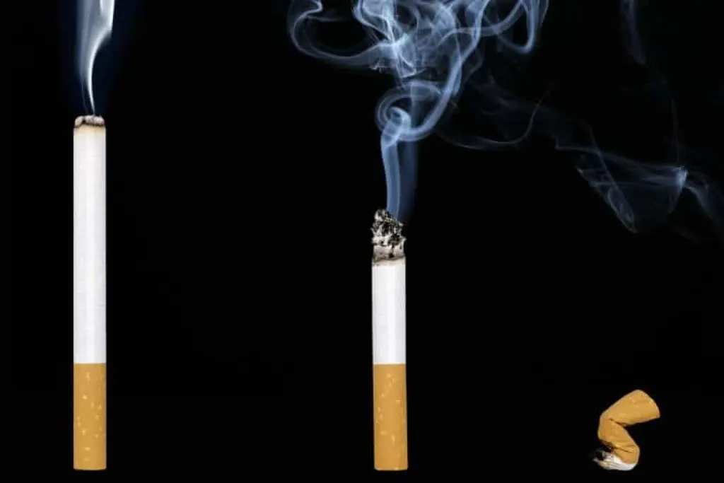 découvrez l'impact environnemental des mégots de cigarette, leur décomposition et les solutions pour réduire leur pollution. informez-vous sur les initiatives écologiques et les moyens de sensibilisation pour préserver notre planète.