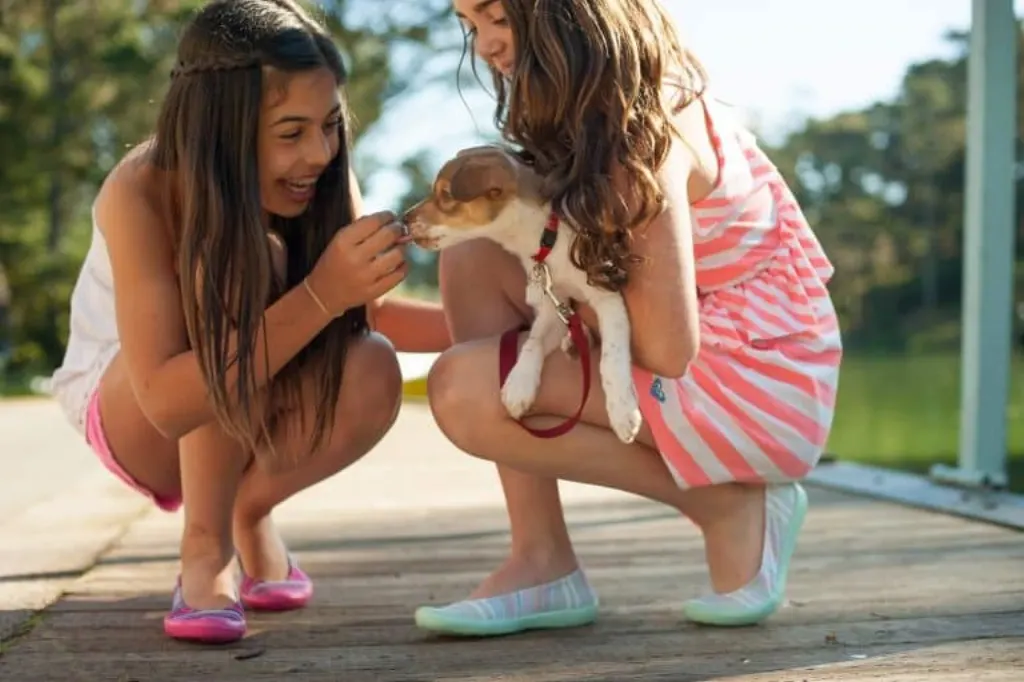 découvrez les secrets du bonheur canin ! apprenez comment améliorer le bien-être de votre chien grâce à des conseils pratiques, des activités enrichissantes et une alimentation adaptée. offrez à votre compagnon à quatre pattes une vie épanouissante et pleine de joie.