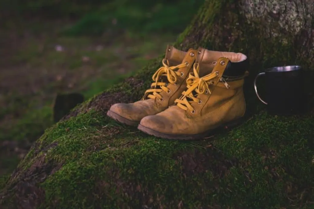 découvrez les joies du camping : une expérience unique en pleine nature, idéale pour se ressourcer, partager des moments inoubliables en famille ou entre amis, et explorer des paysages à couper le souffle. évadez-vous et plongez dans l'aventure en plein air !