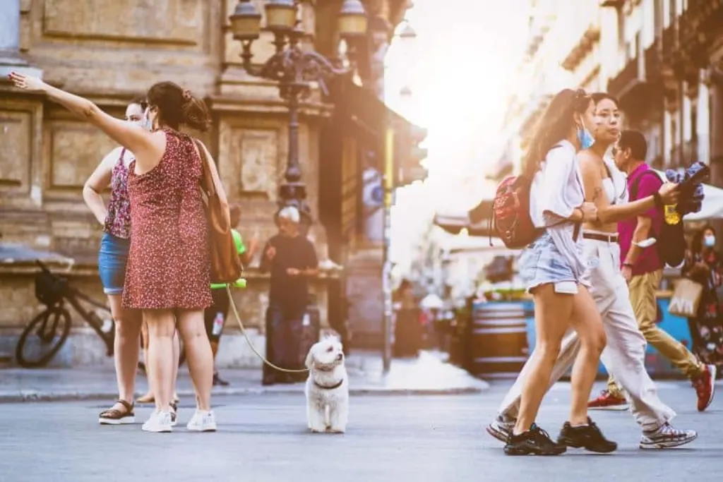 découvrez nos services de promenade pour chiens, offrant une activité physique et un moment de plaisir pour votre compagnon à quatre pattes. nos professionnels passionnés s'assurent que votre chien se dépense et s'épanouisse en toute sécurité. réservez dès maintenant pour le bonheur de votre animal!