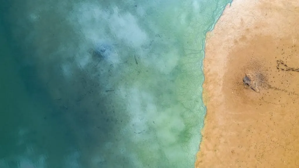 découvrez le service de drone guiding, une innovation qui allie technologie et exploration. offrant des expériences immersives, nos drones vous guident à travers des paysages à couper le souffle, tout en capturant des images époustouflantes. parfait pour les aventuriers et les passionnés de photographie, notre service transforme vos sorties en aventures inoubliables.