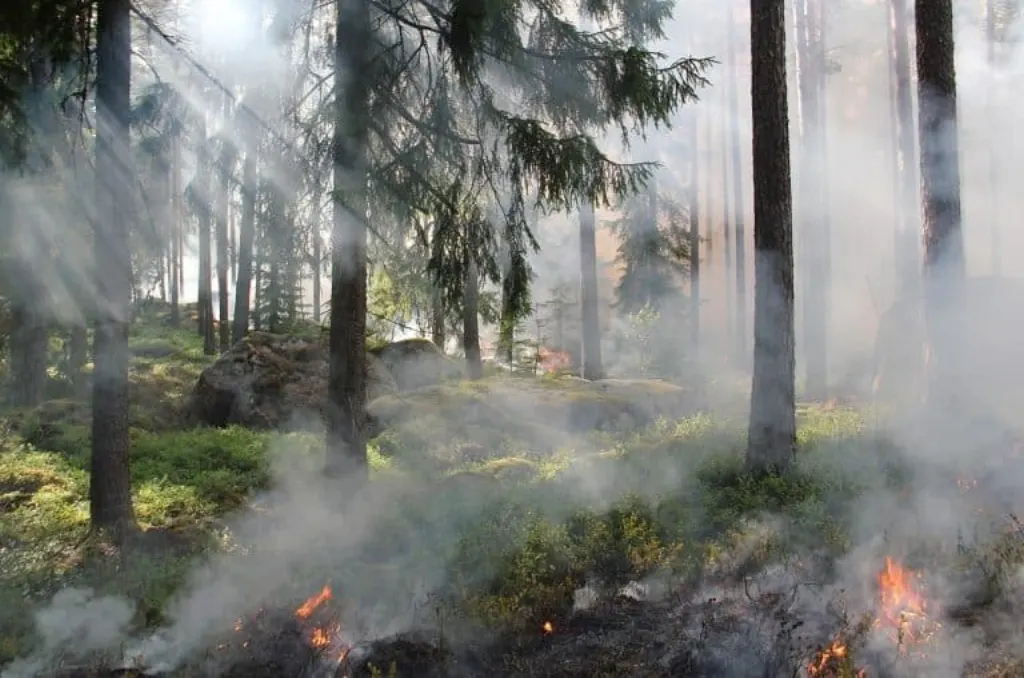 découvrez l'élément fascinant du feu : ses propriétés, ses utilisations et son impact sur l'environnement. explorez les mythes, les sciences et les dangers associés à cet élément vital pour l'humanité.