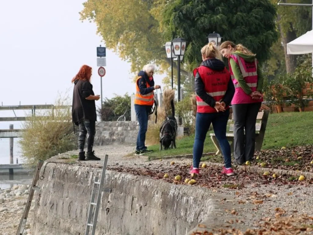 découvrez le mantrailing, une méthode fascinante de recherche de personnes grâce aux capacités olfactives exceptionnelles des chiens. apprenez les techniques et les avantages de cette discipline qui allie travail d'équipe et passion pour l'animal. parfait pour les professionnels de la sécurité ou les amateurs à la recherche d'une nouvelle activité enrichissante.