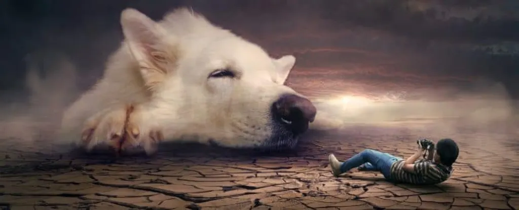 découvrez l'univers fascinant du mystérieux chien, une créature intrigante aux comportements étranges et captivants. plongez dans les histoires qui entourent ces compagnons énigmatiques et explorez les secrets de leur nature de manière inédite.