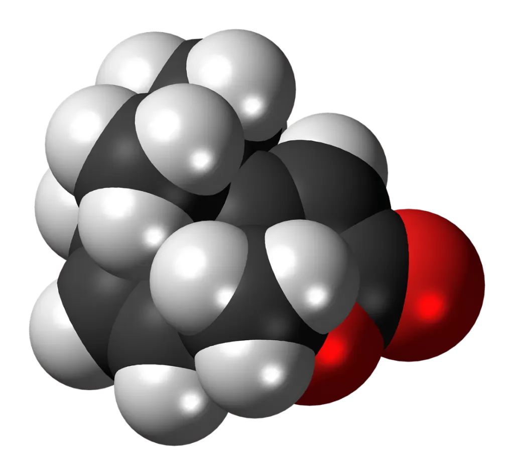 découvrez le pouvoir des phéromones : séductrices et naturelles, ces substances chimiques influencent notre comportement et nos émotions. apprenez comment elles peuvent enrichir vos relations et attirer l'attention de manière invisible.