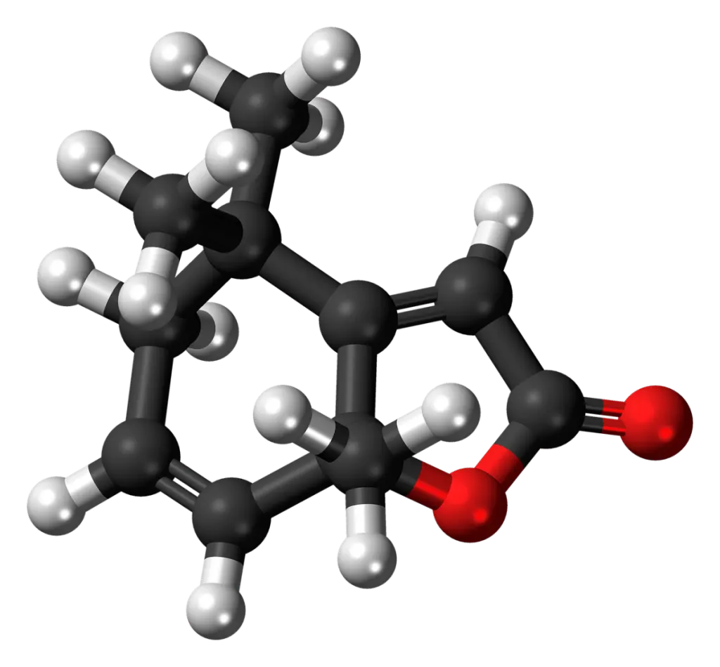 découvrez le monde fascinant des phéromones, ces substances chimiques aux pouvoirs séduisants. apprenez comment elles influencent les comportements, les préférences et les relations humaines. explorez leur rôle dans la nature et leur application dans le domaine du bien-être et des interactions sociales.