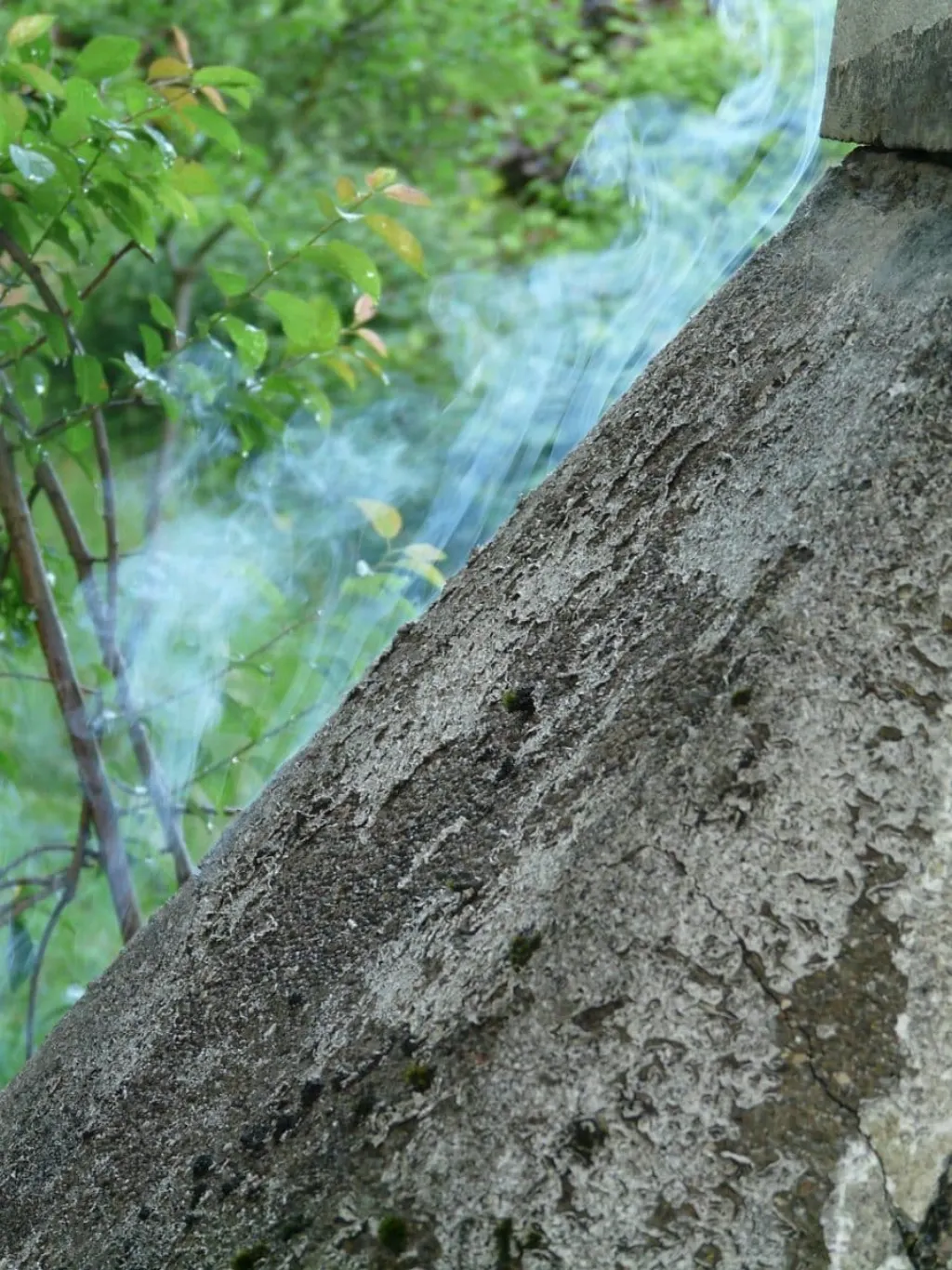 découvrez les causes, symptômes et traitements des intoxications. informez-vous sur les différentes substances toxiques et apprenez à reconnaître les signes d'un empoisonnement pour agir rapidement en cas d'urgence.